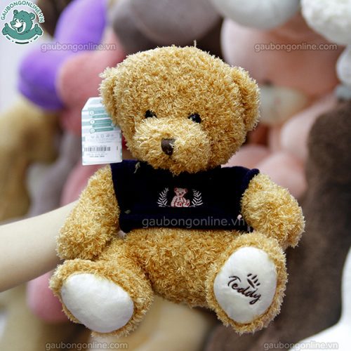 Gấu Bông Áo Teddy