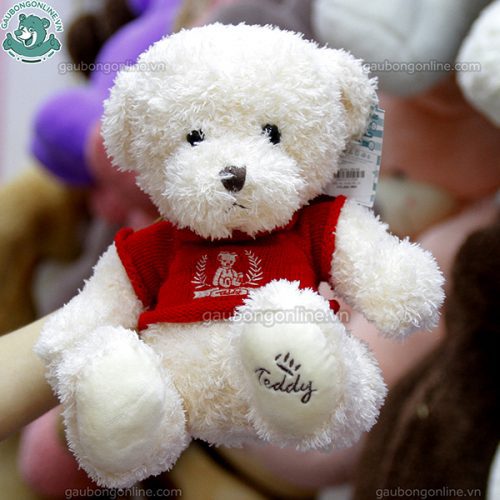 Gấu Bông Áo Teddy