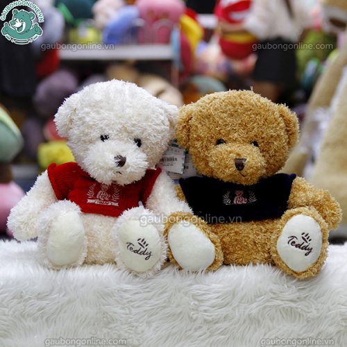 Gấu Bông Áo Teddy