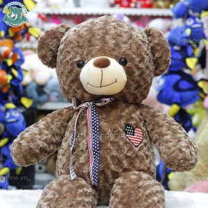 Gấu Bông Teddy Tim Cờ Mỹ