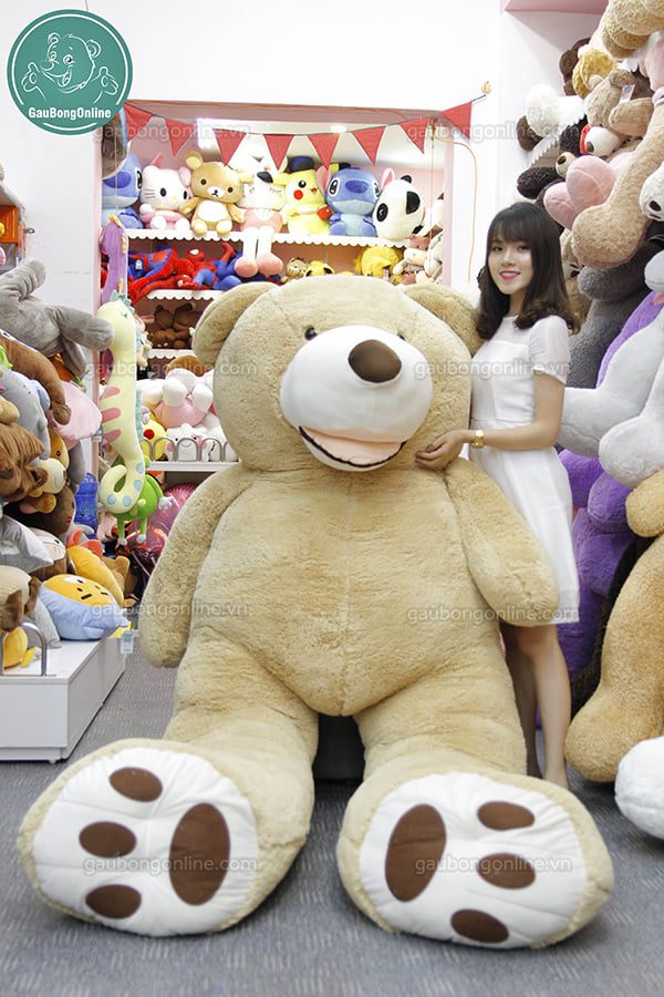 gấu Teddy 3m4