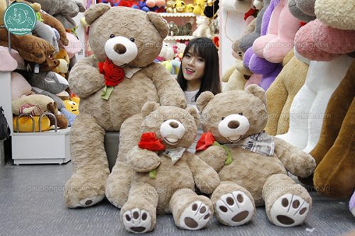 Gấu Bông Teddy Ôm Hoa