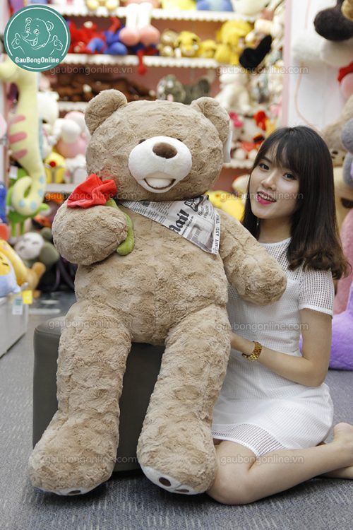 Gấu Bông Teddy Ôm Hoa