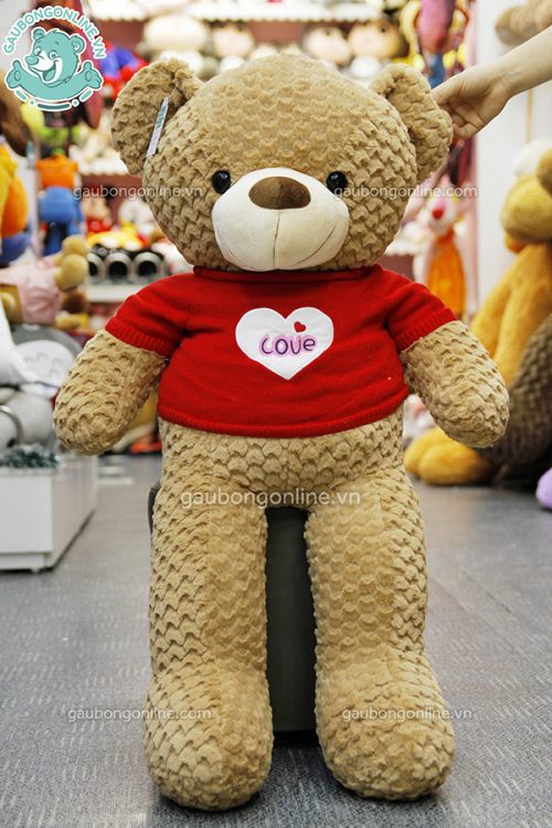 Gấu Bông Teddy Áo Tim Love