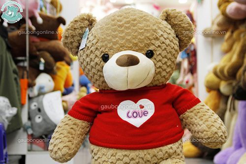 Gấu Bông Teddy Áo Tim Love