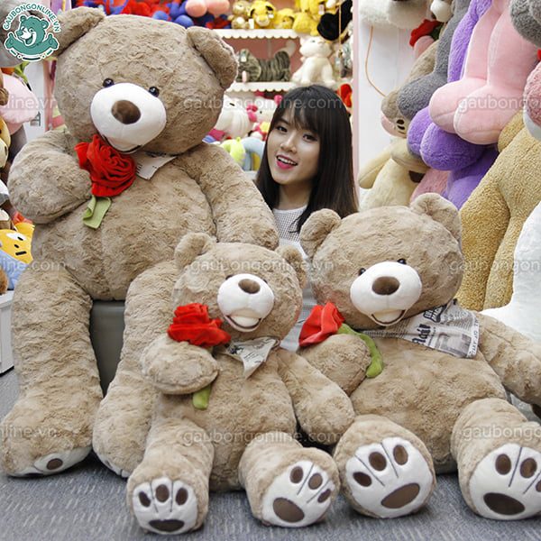 Gấu Teddy ôm hoa