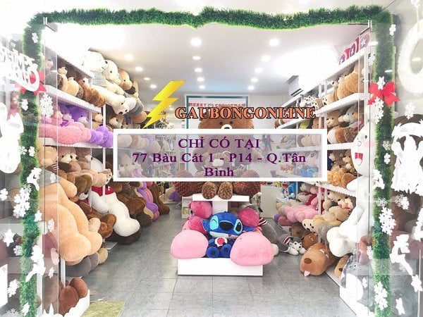 shop gấu teddy