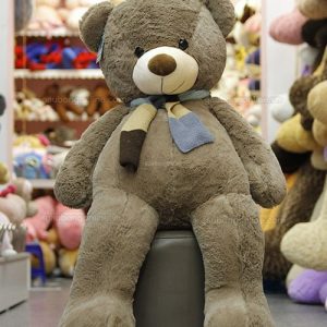 Gấu Bông Teddy 1m5 - 1m6 - 1m7