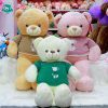 Gấu Bông Teddy Áo Len Gấu