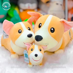 Chó Corgi Bông Đứng