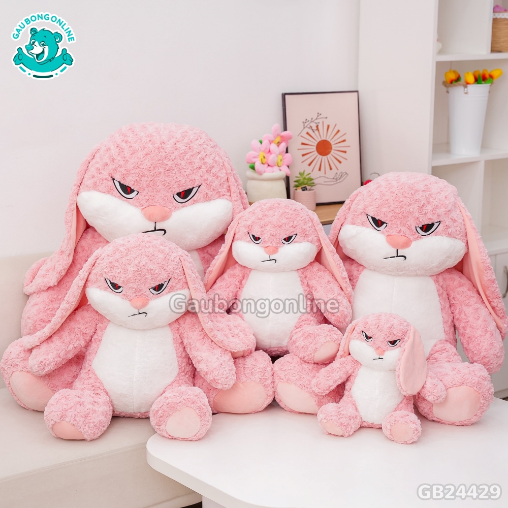 Thỏ Bunny Mặt Quạo