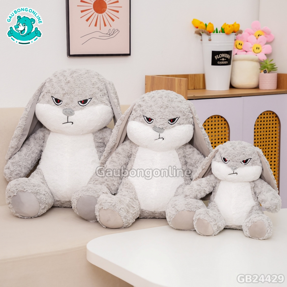 Thỏ Bunny Mặt Quạo