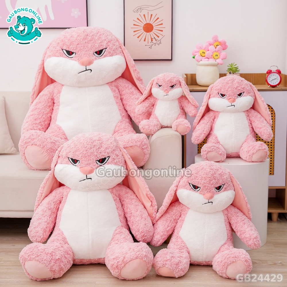 Thỏ Bunny Mặt Quạo