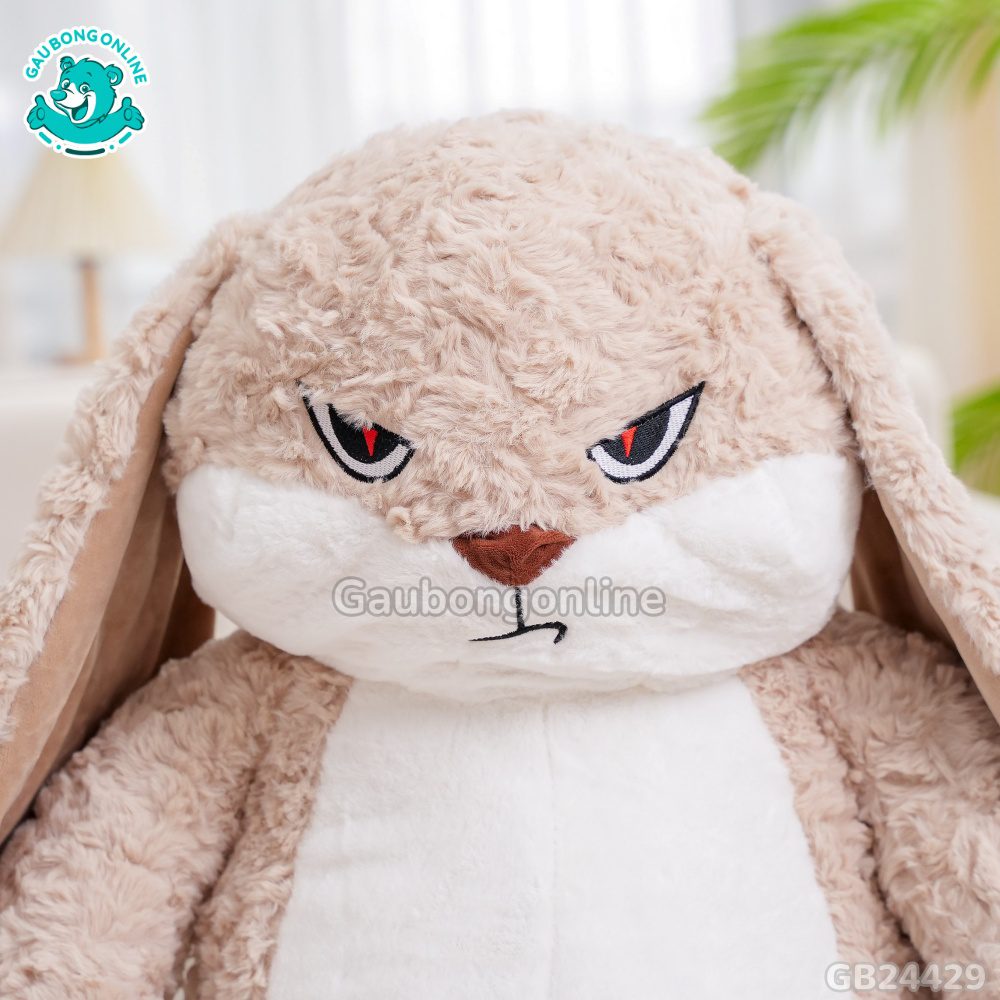 Thỏ Bunny Mặt Quạo