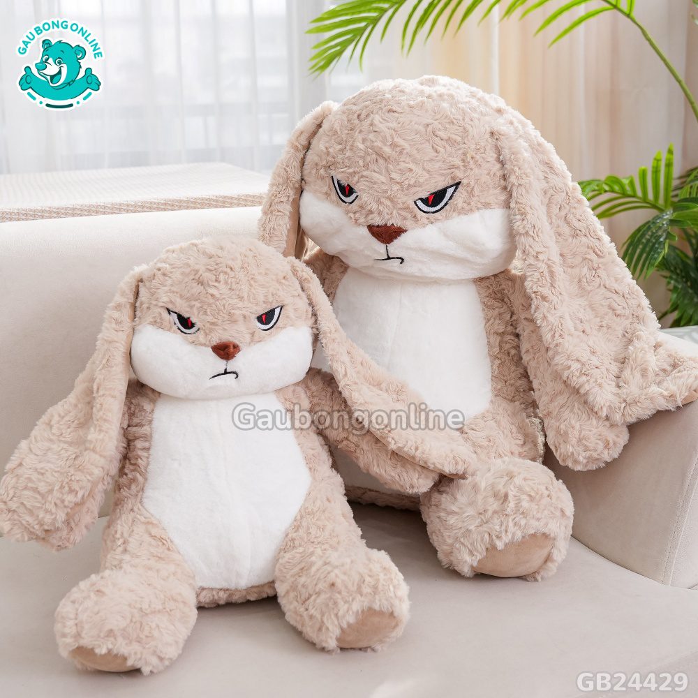 Thỏ Bunny Mặt Quạo