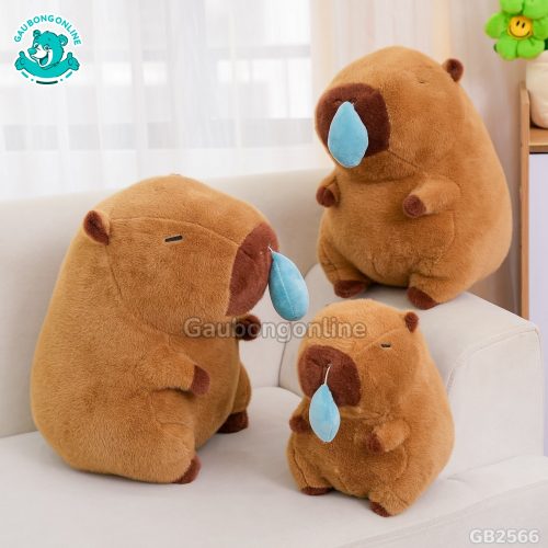 Chuột Capybara Nước Mũi