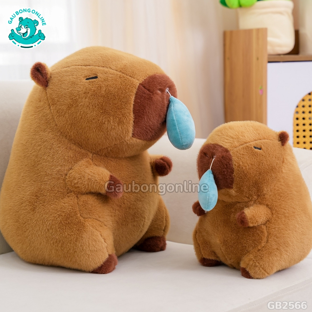 Chuột Capybara Nước Mũi