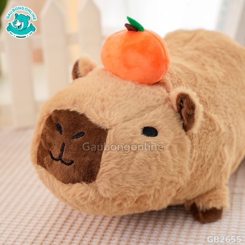 Capybara Nằm Đội Quả Cam ngộ nghĩnh, dễ thương