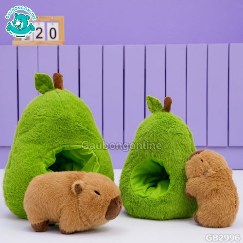 Quả Bơ 2in1 Chuột Capybara