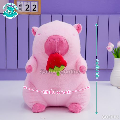 Cách Đo Kích Thước Chuột Capybara Hồng Rút Dâu Tây