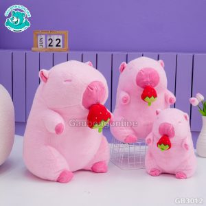 Chuột Capybara Hồng Rút Dâu Tây