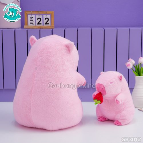 Chuột Capybara Hồng Rút Dâu Tây