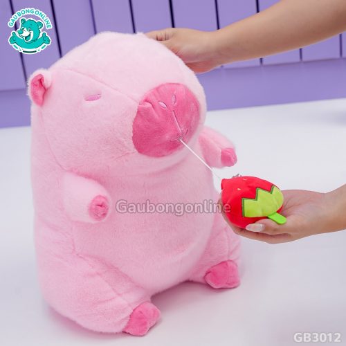 Chuột Capybara Hồng Rút Dâu Tây