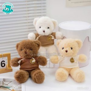 Gấu Bông Teddy Áo Nỉ Tag Love