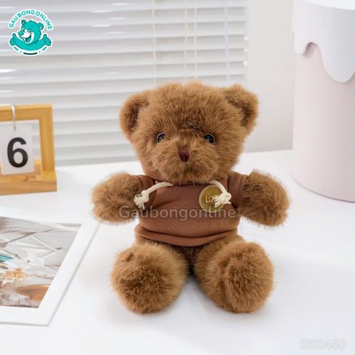 Gấu Bông Teddy Áo Nỉ Tag Love