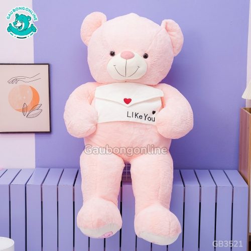 Gấu Bông Teddy Cầm Phong Thư