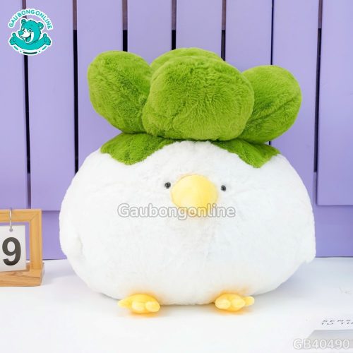 Vẻ đẹp độc đáo của Gà Bông Múp Cải Bắp