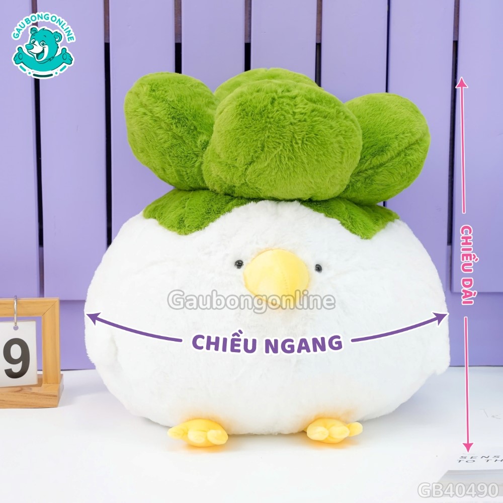 Cách đo kích thước của Gà Bông Múp Cải Bắp