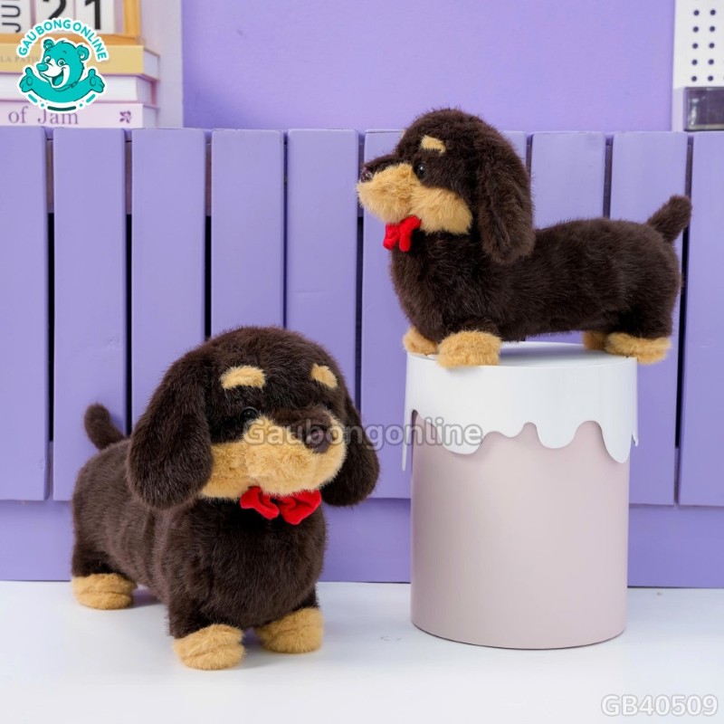 Chó Bông Dachshund Lạp Xưởng