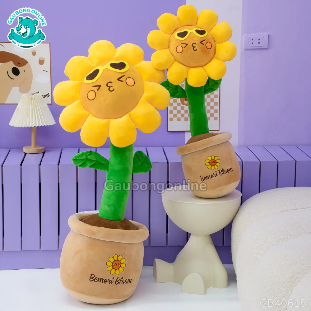 Chậu Hoa Bông Hướng Dương