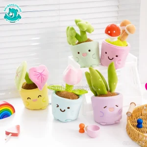 Chậu Hoa Bông Vui Vẻ