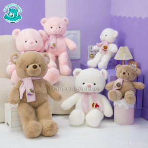 Teddy Lông Tiểu Kim Khăn Hoa